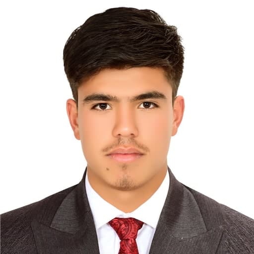 Edris Amarkhail, Frontend Developer at Paiman ICT